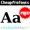 CheapProFonts Serif Pro - Bold Promo Picture