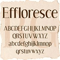 Effloresce Original Promo Picture