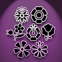 Kalocsai Flowers Pi
