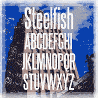 Steelfish Original Promo Picture